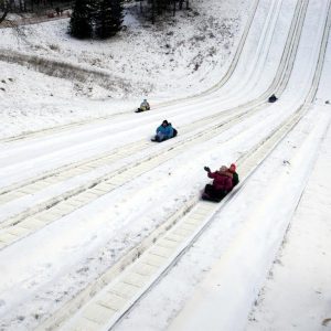 Echo Valley Tobogganing