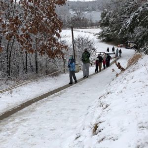 Echo Valley Tobogganing